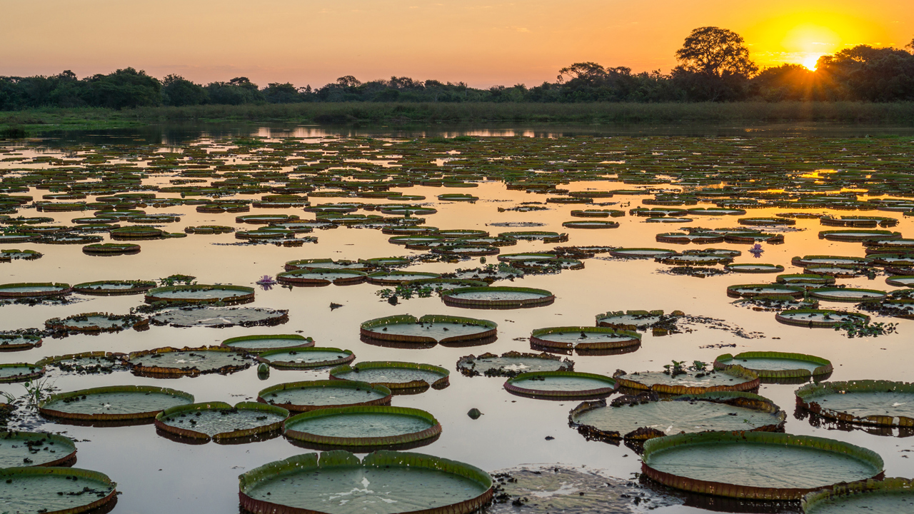 brasilien - pantanal_vaadland_solnedgang_01