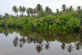 Mawella Beach 03