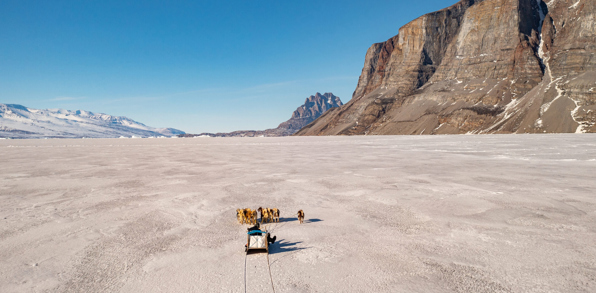 Uummannaq Slædehunde 01