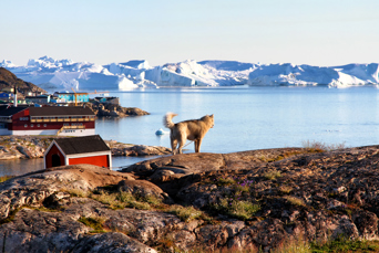 Ilulissat