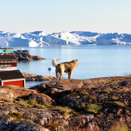 ilulissat_by_06