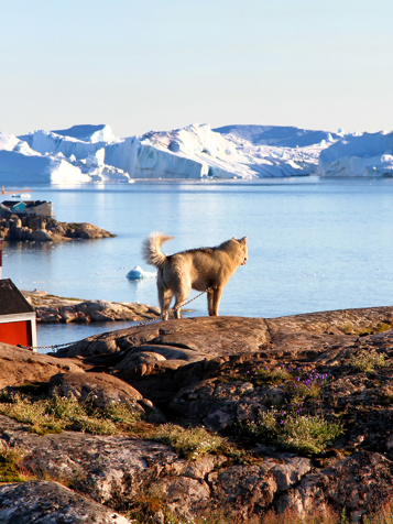 ilulissat_by_06