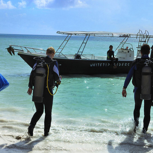 seychellerne - praslin - paradise sun hotel_01