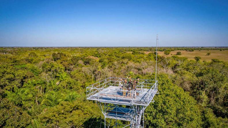 Canopy Tower