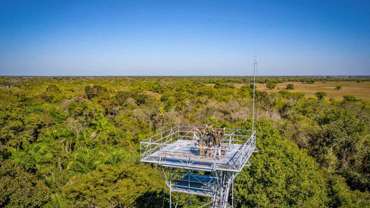 Canopy Tower