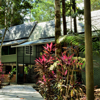 Rompin Rainforest Lodge 10