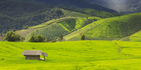 thailand - chiang mai_doi inthanon_udsigt_02