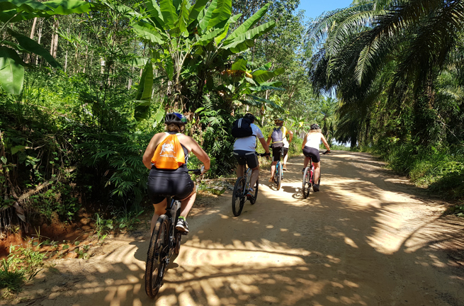 Jungle Cycling & Hot Springs