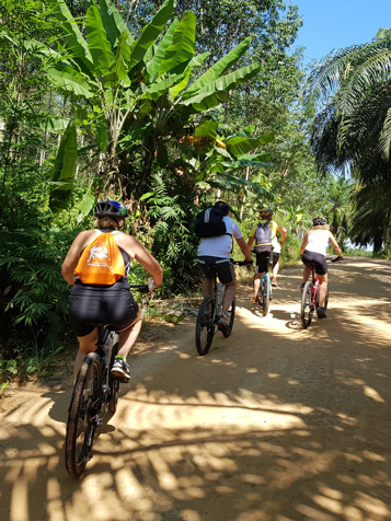 Jungle Cycling & Hot Springs