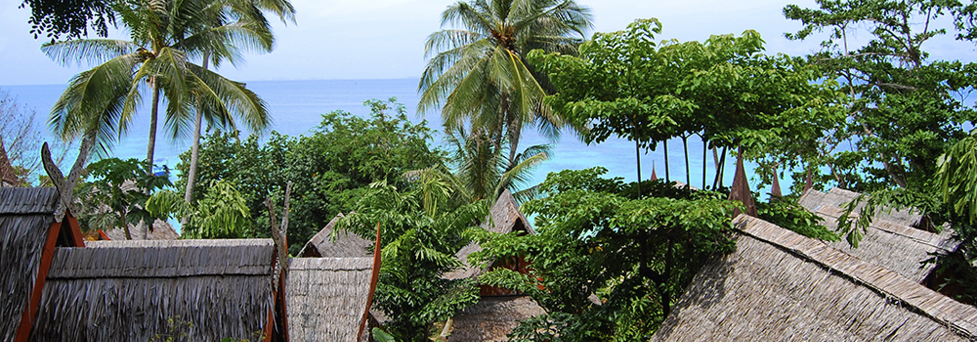 thailand - phi phi relax_panorama_05