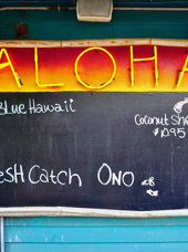 hawaii_maui_lahaini_aloha skilt_01