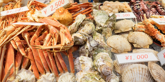 Hakodate Fish Market