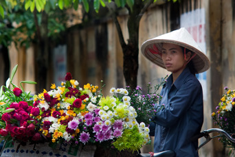 Vietnam - hanoi_blomsterpige_01