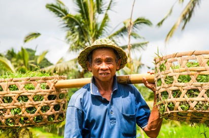 bali - ubud_rismark_farmer_04