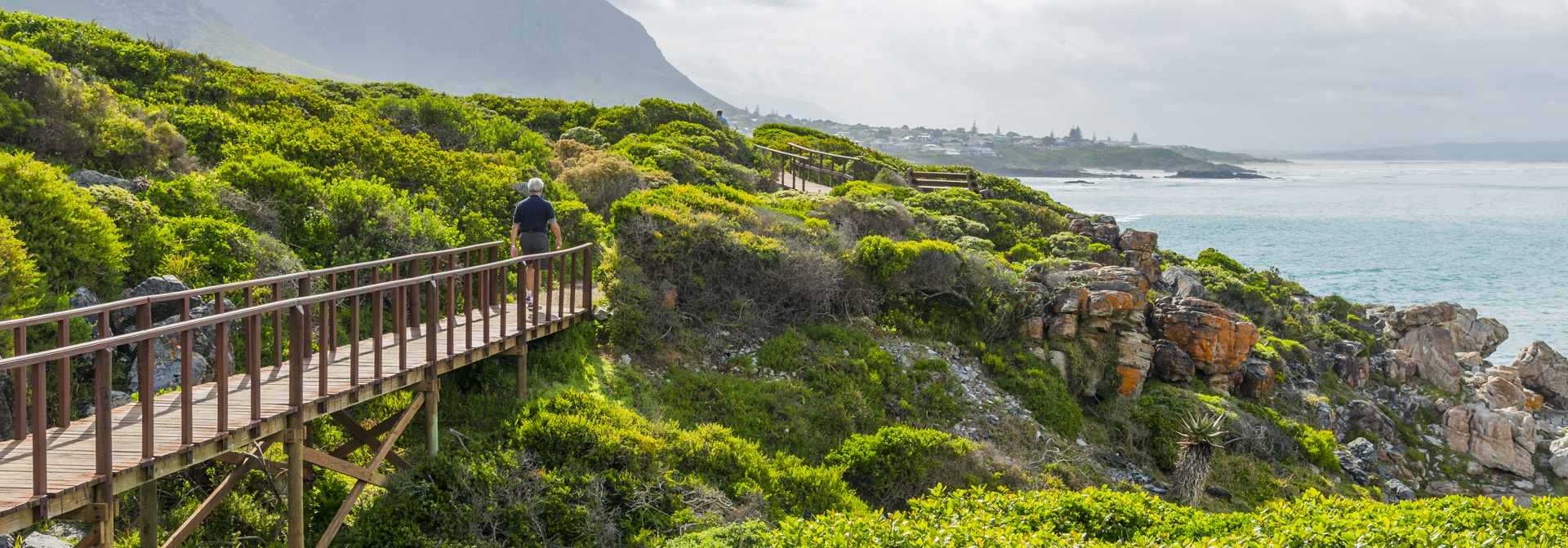 Hermanus Cliff Path 01