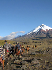 costa rica - cotopaxi hesteryg_01