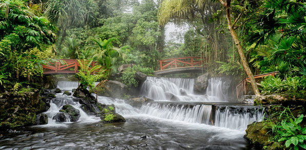 Arenal Tabacon La Fortuna