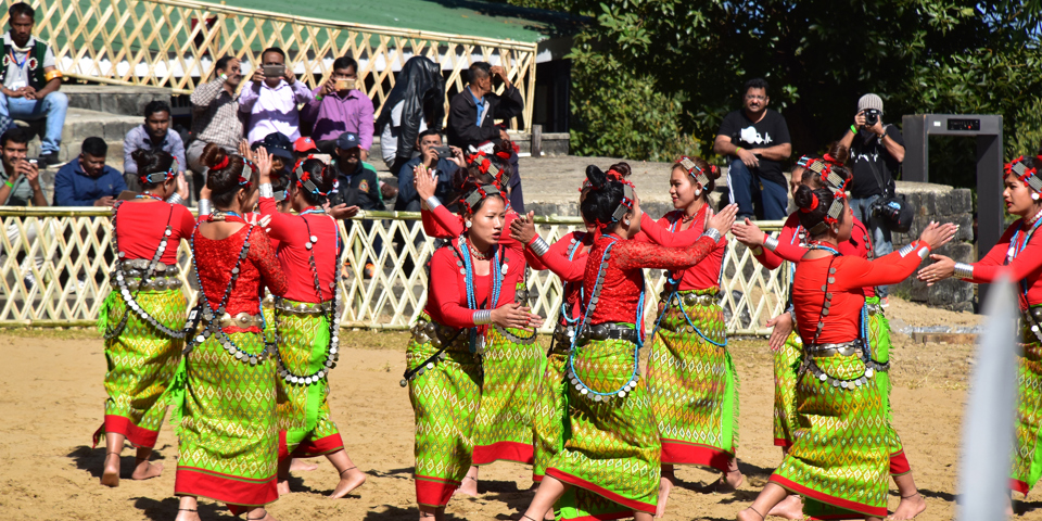 Nagaland Hornbill 02