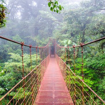 costa rica - monteverde_jungle_haengende_bro_09