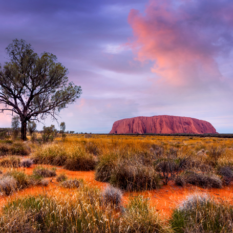 Ayers Rock 15