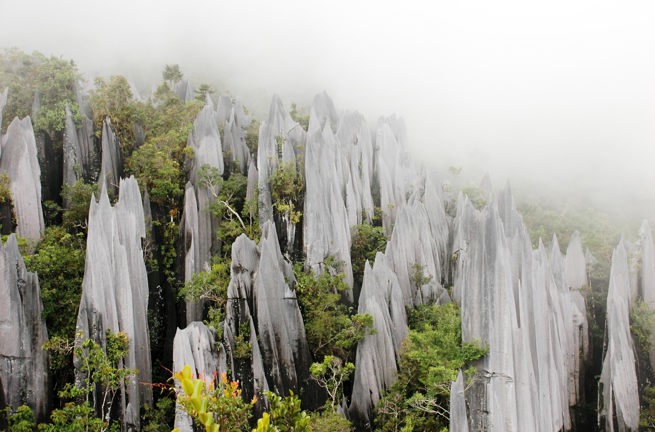 malaysia/borneo - mulu national park_01