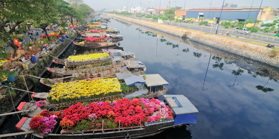 Vietnam - ho chi minh_blomstermarked_01