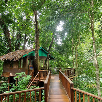 Our Jungle House Treehouse 12