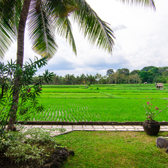 bali - green field hotel_udsigt_01