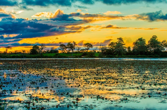 brasilien - pantanal_vaadland_solnedgang_02