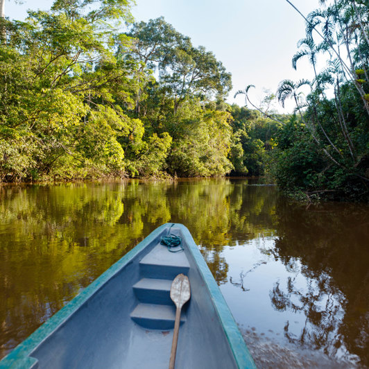 Amazonas 03