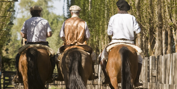 australien - pampas_gaucho_01