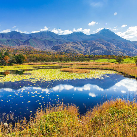 Hokkaido Shiretoko National Park Efterår