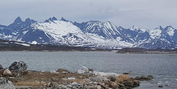 Hotel Kap Farvel Fjorden