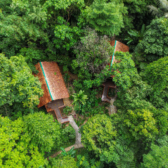 Our Jungle House Treehouse 16