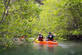 Sea Kayaking In Ao Thalane Optional Full Day Hong Island