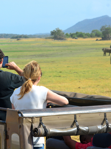 Minneriya National Park