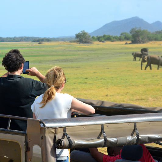 Minneriya National Park