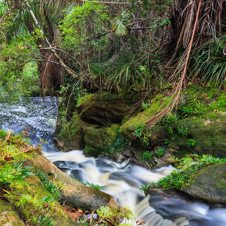 bako national park_05