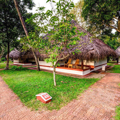 Marari Beach Resort Alleppey Villa 01