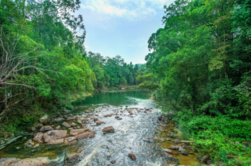 Rompin Rainforest Lodge 02