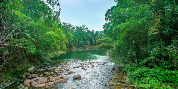 Rompin National Park