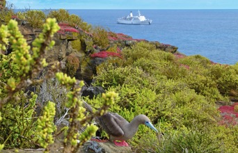 Vi flyver videre ud i Stillehavet til Galápagos og indlogeres for de næste 5 dage på M/V Legend