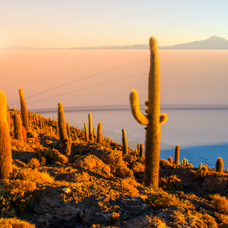 uyuni_incahuasi island_01