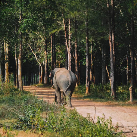 Kui Buri National Park Hua Hin3