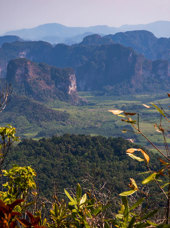 Dragon Crest Natural Trail Hike Krabi3