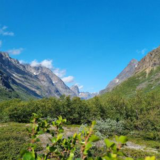 Hotel Kap Farvel Natur