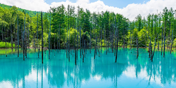 Hokkaido Furano Biei Shirogane Aoi Ike Blue Pond