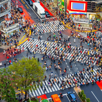 Shibuya Crossing