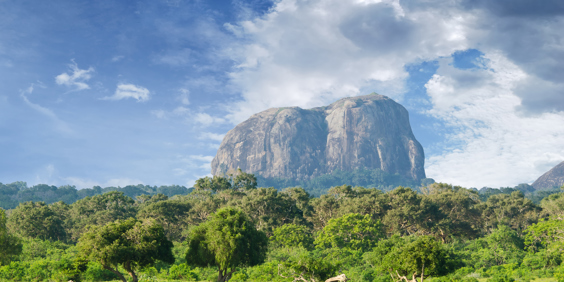 Sigiriya Lions Rock 03