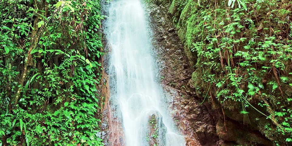 malaysia/borneo - borneo_kinabalu park_vandfald_01_hf